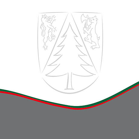 Logo und Corporate Design für die Gemeinde St. Marienkirchen